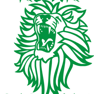 Custom t-shirt with Calabar High School logo and design.